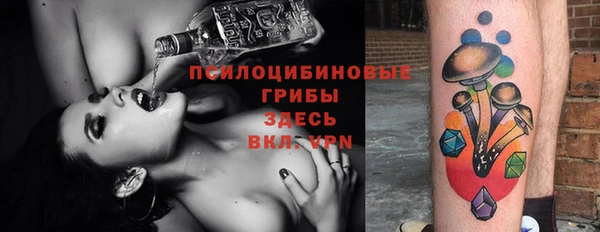 ECSTASY Пересвет