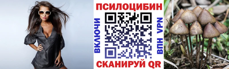 купить   Новая Ляля  Псилоцибиновые грибы Psilocybe 